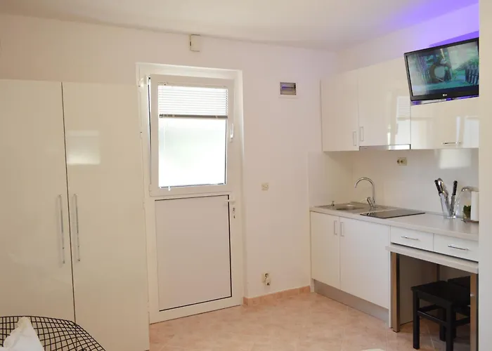 Mini Albizia 扎达尔