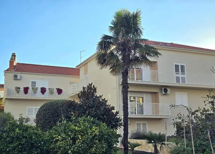 Mini Albizia * Ζαντάρ